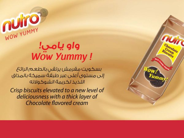 nutro-biscuits